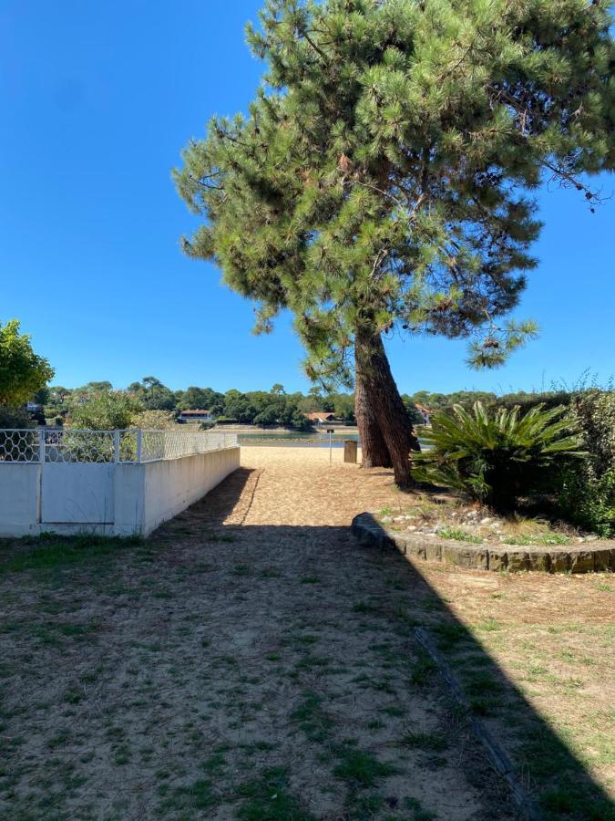 Un Cocon Climatise Au Bord Du Lac D'Hossegor Soorts-Hossegor Kültér fotó